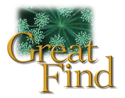 Great Find logo
